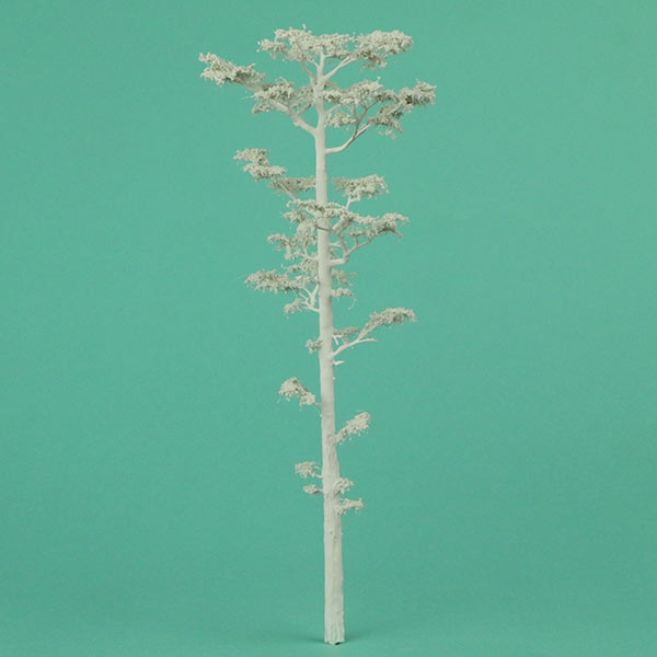 Scots pine model tree