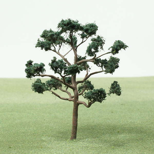 Japanese pine model tree