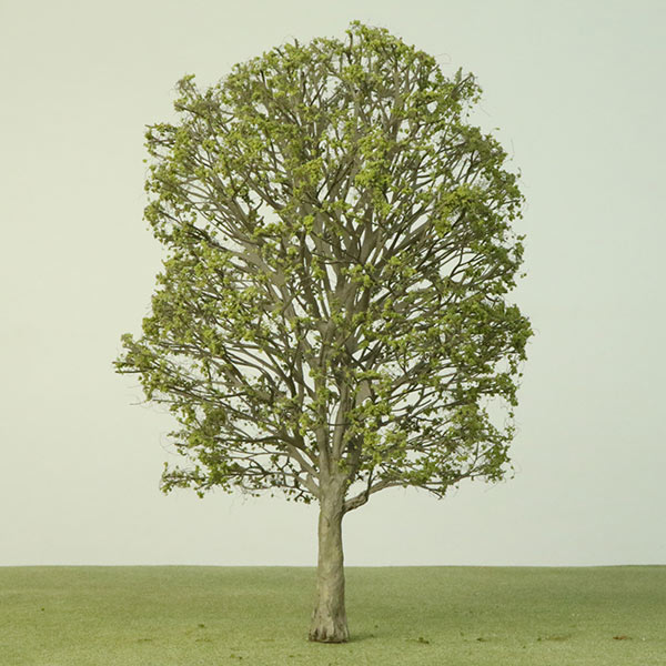 London plane model tree