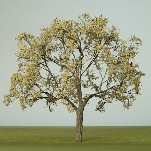 London plane model tree