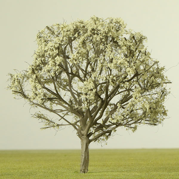 Model London plane tree