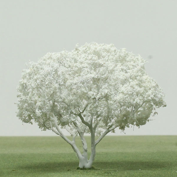 Frangipani model tree