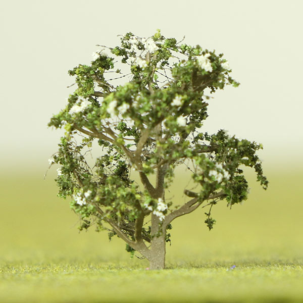 Frangipani model tree