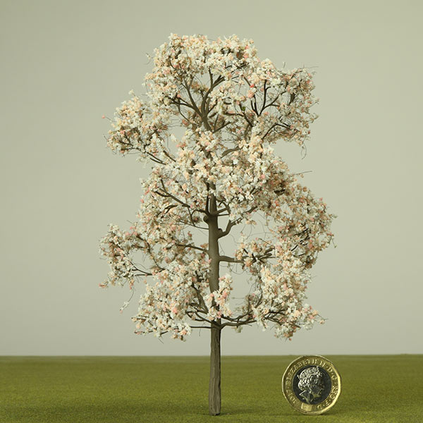 Blossoming cherry model tree