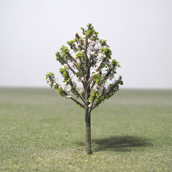 Wild cherry model tree
