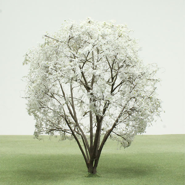 Wild cherry model tree