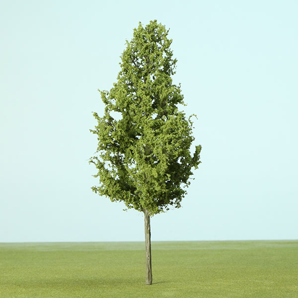 Callery / Bradford model apple tree