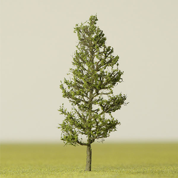 Pin oak model tree