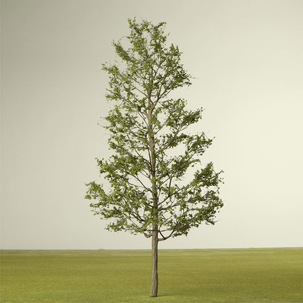 Pin oak model tree