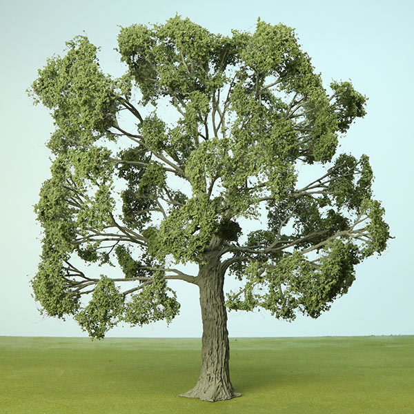 English oak model tree