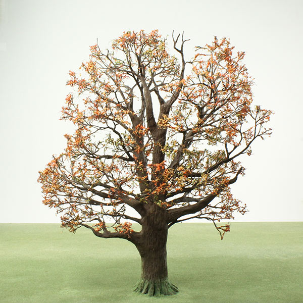 English oak model tree