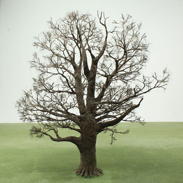 English oak model tree