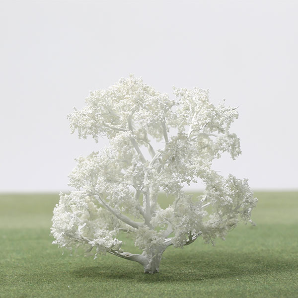 English oak model tree