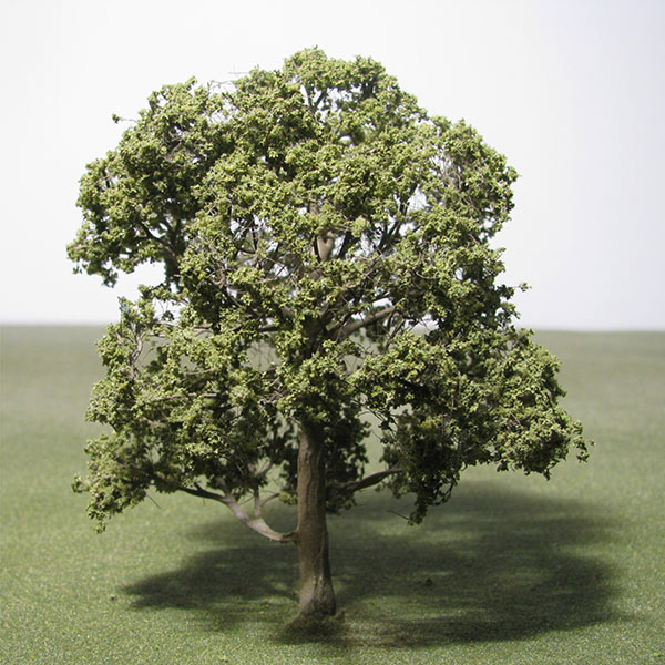 English oak model tree