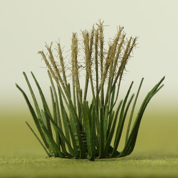 30mm model reeds