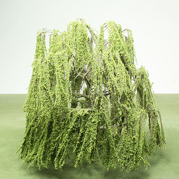 Weeping willow model tree