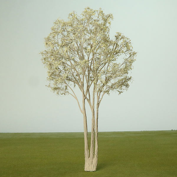 Red willow model tree