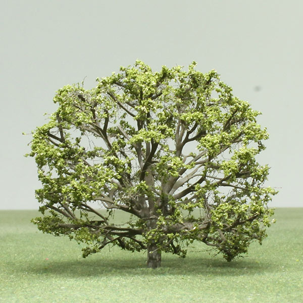 Golden raintree model tree