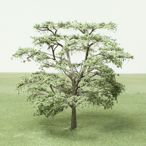 Scholar tree or Japanese pagoda model tree