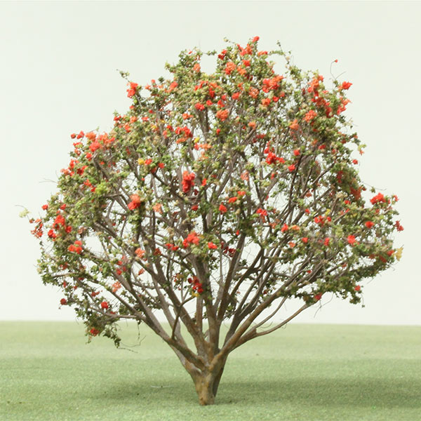 Rowan / Mountain-ash model tree