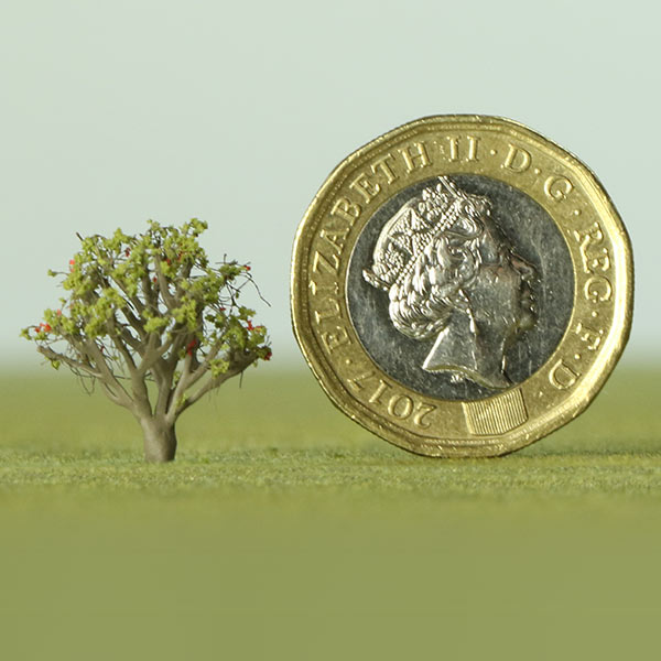 Rowan / Mountain-ash model tree