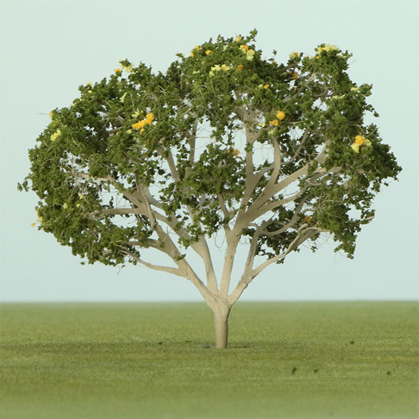 Model Tulip trees