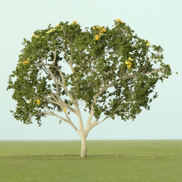 African tulip model tree