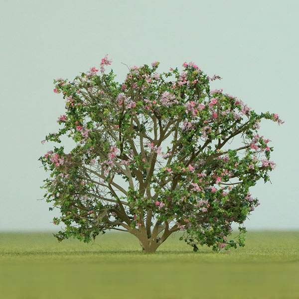 Trumpet species model trees