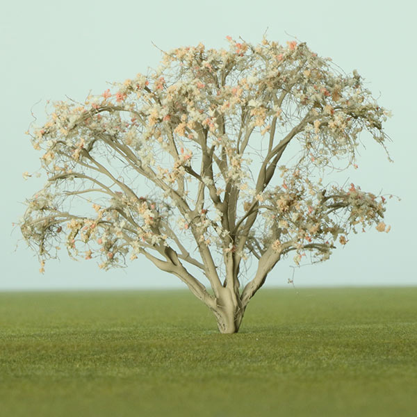 Multi stem athel pine model tree