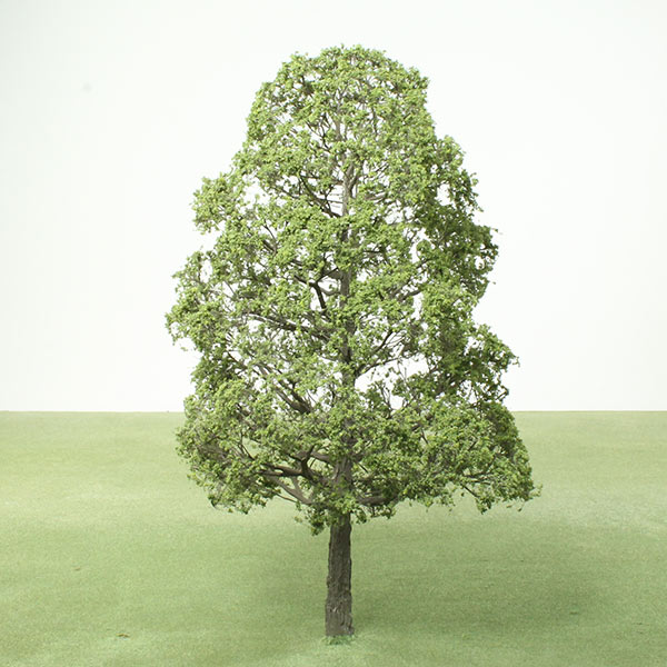 Common lime model tree
