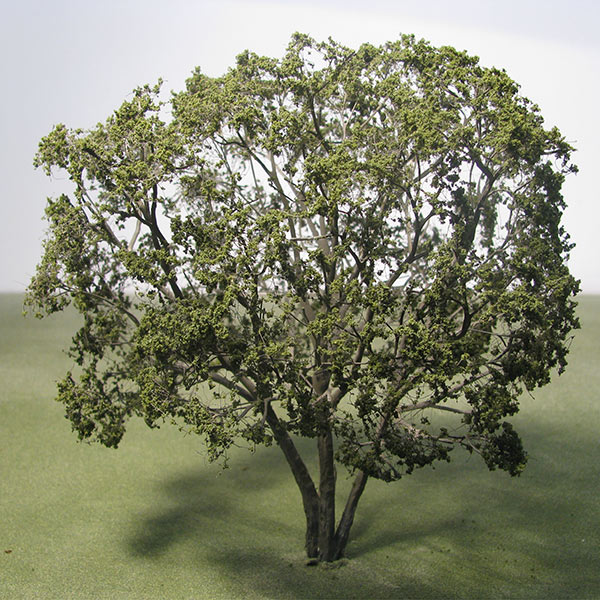 Olive model tree