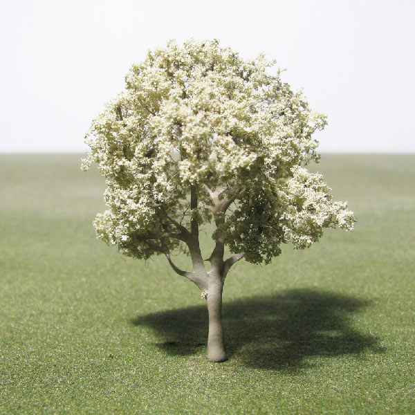 Christ's thorn jujube model tree