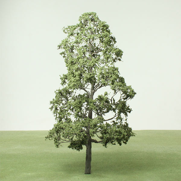 model alder tree