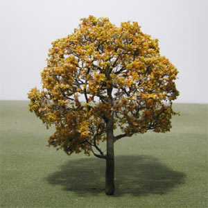 Model trees in Autumn foliage