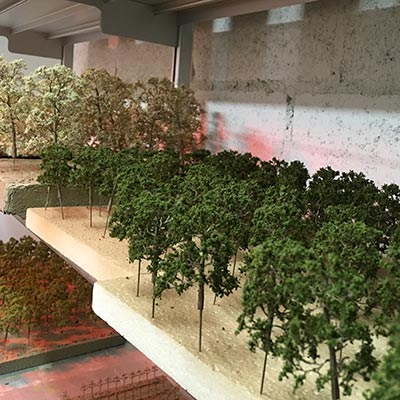 Finished model trees in our drying room