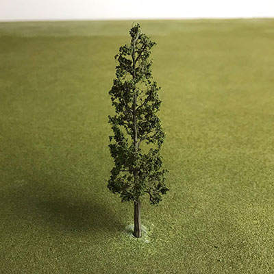 Narrow trunk tree