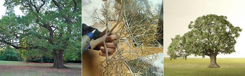 Model trees made to order Model trees made to order