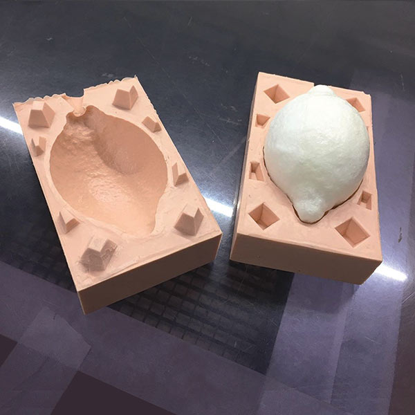 Mould for a model lemon