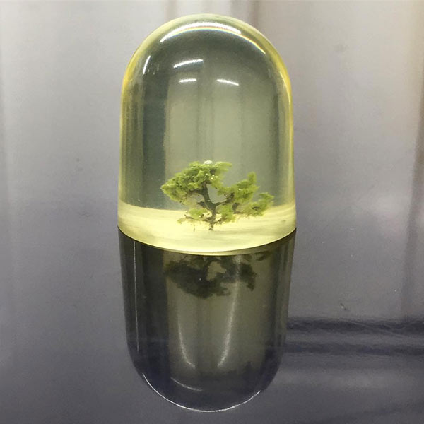 Model tree cast in clear resin