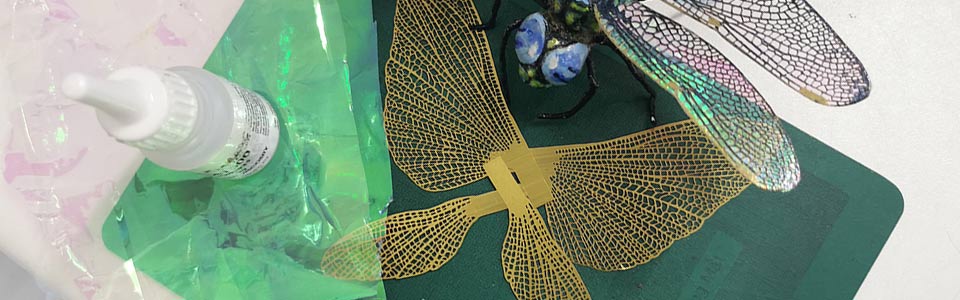 Iridescent model dragonfly