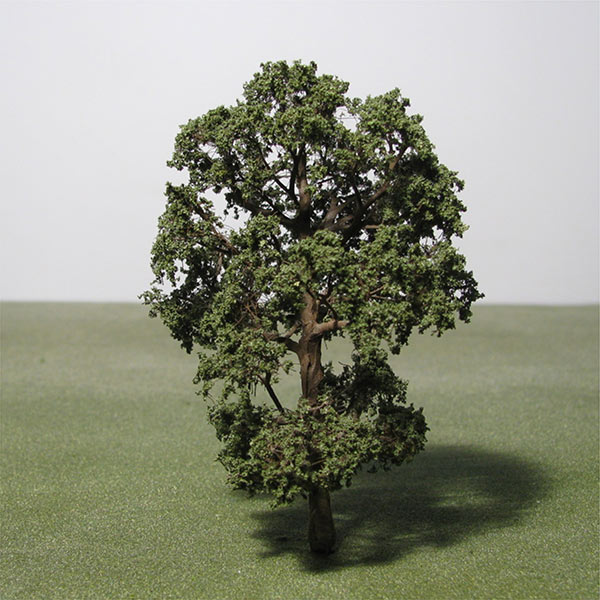 English elm model tree