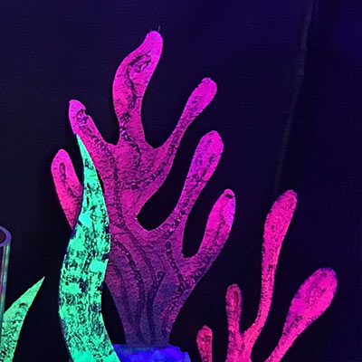 System 3 fluorescent acrylic paint