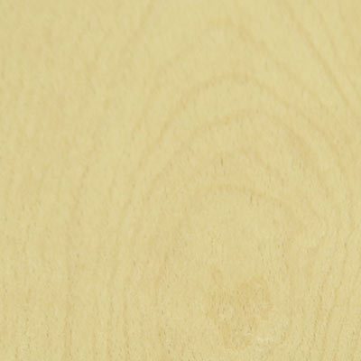 Beech wood for model making
