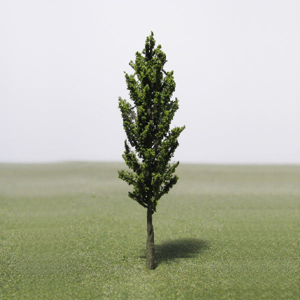 Pyramidal european hornbeam model tree