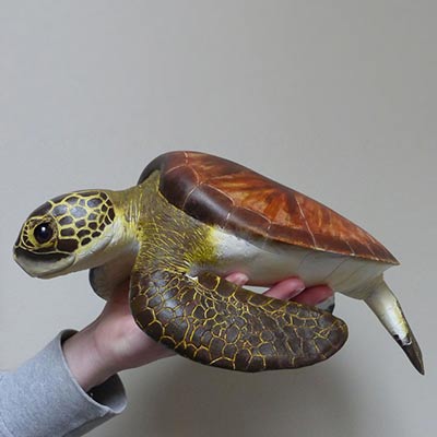 Models by Pam Knight and Beth Knight