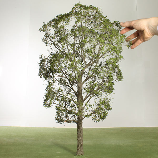 London plane model tree