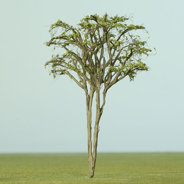 Multi-stem model tree