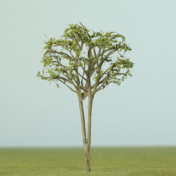 Multi-stem model tree