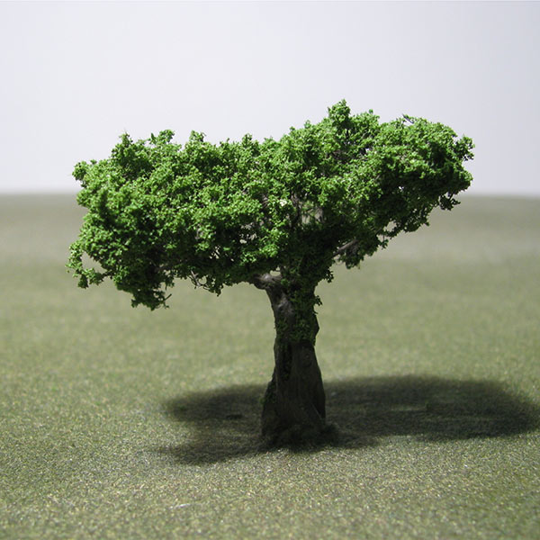 Olive model tree