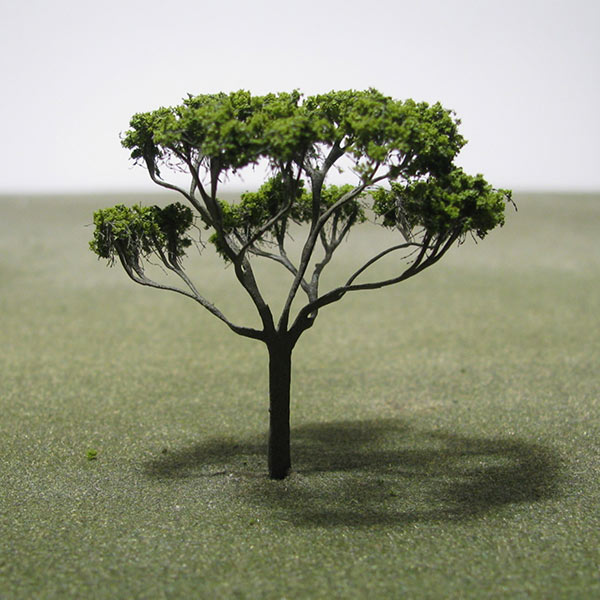 Pollarded deciduous tree
